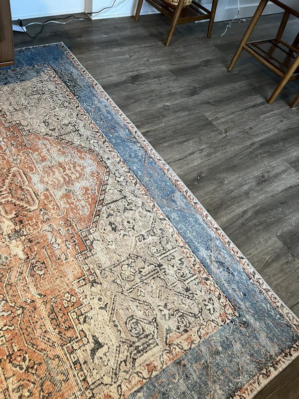 allen + roth with STAINMASTER Amelie 9 x 12 (ft) Loomed Polyester Coral ...