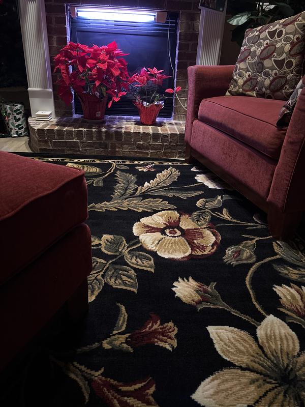 Home Dynamix Optimum Amell 8 X 10 (ft) Black Indoor Floral