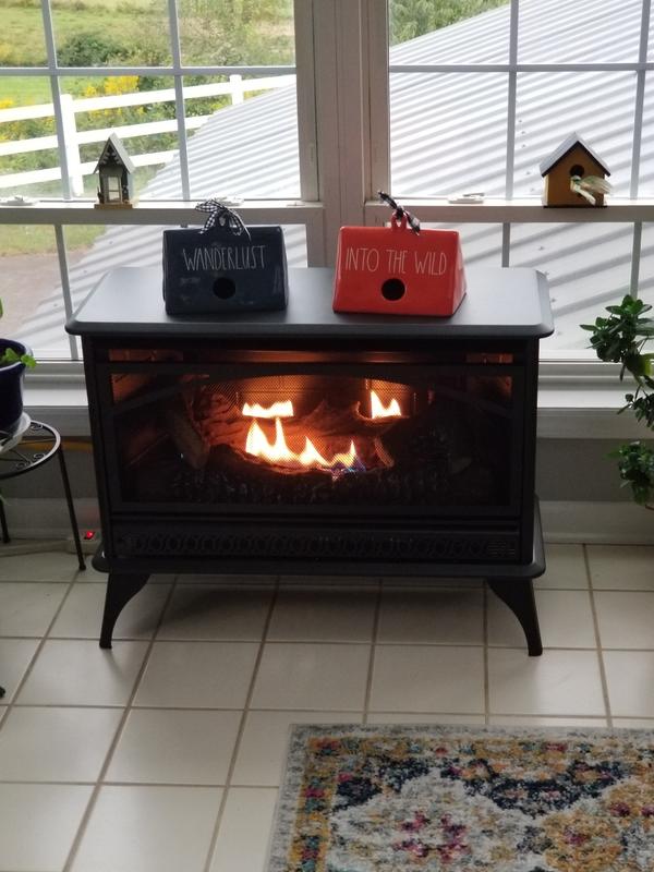 allen + roth 1000-sq ft Dual-Burner Vent-free Freestanding Natural and  Liquid Propane Gas Stove in the Gas Stoves department at Lowes.com