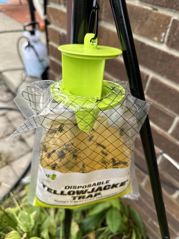 RESCUE! Stink Bug Trap Reusable - Outdoor Insect Trap, Catch Multiple  Species, Odor-Free Attractant, Works Indoors, EPA Exempt