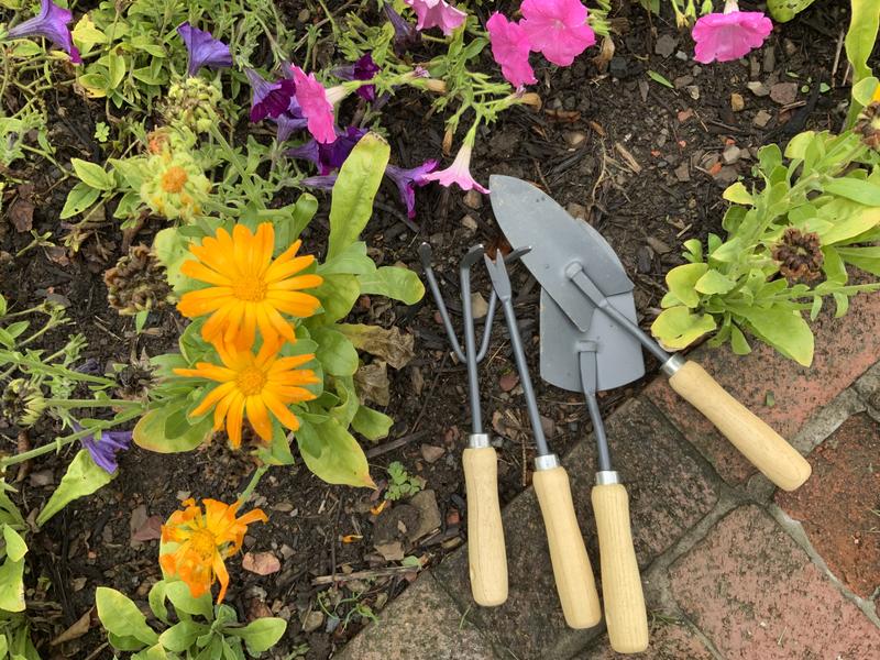 Project Source Garden Hand Tool Kit in the Garden Hand Tool Kits department  at