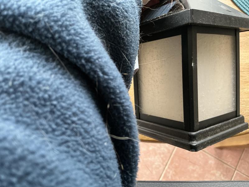 allen + roth Flicker flame 10-Lumen Black Solar LED Outdoor Path Light ...