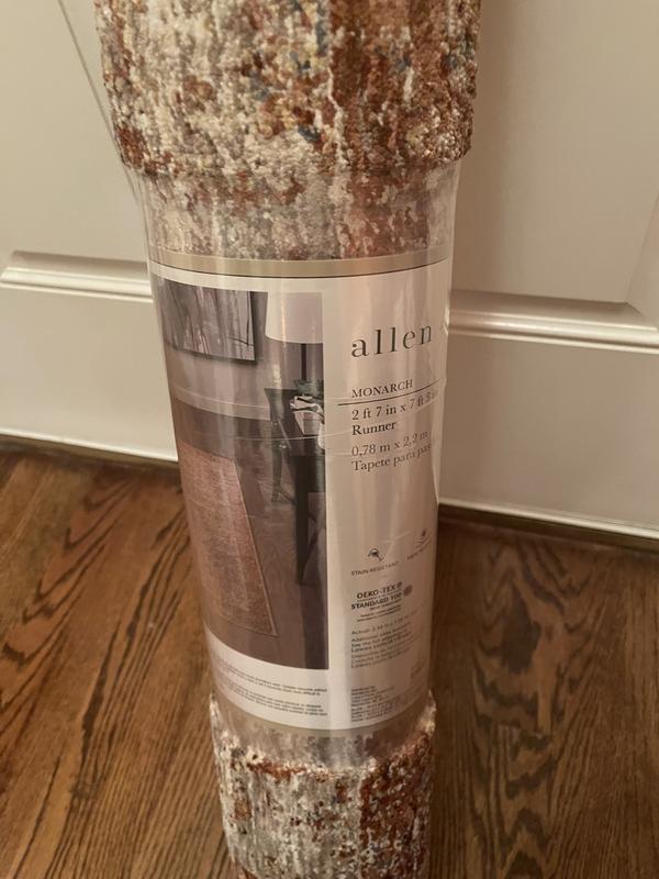 allen + roth Monarch Border 2 x 8 (ft) Flatweave Polyester Rust ...