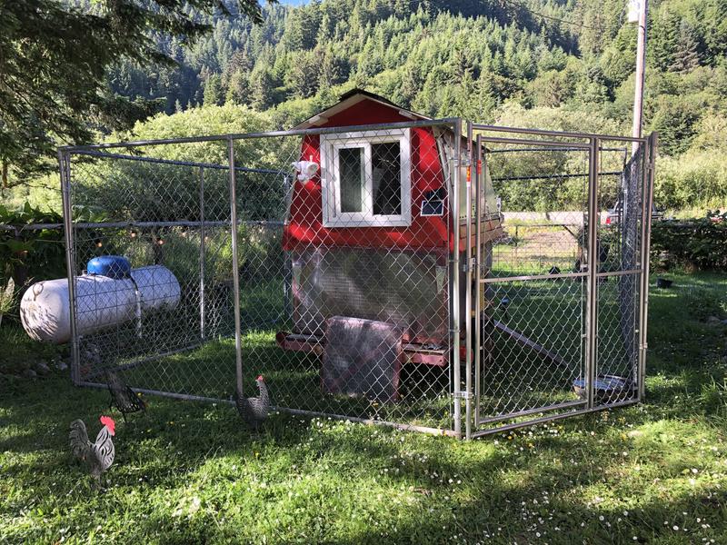 Dog kennel panels lowes best sale