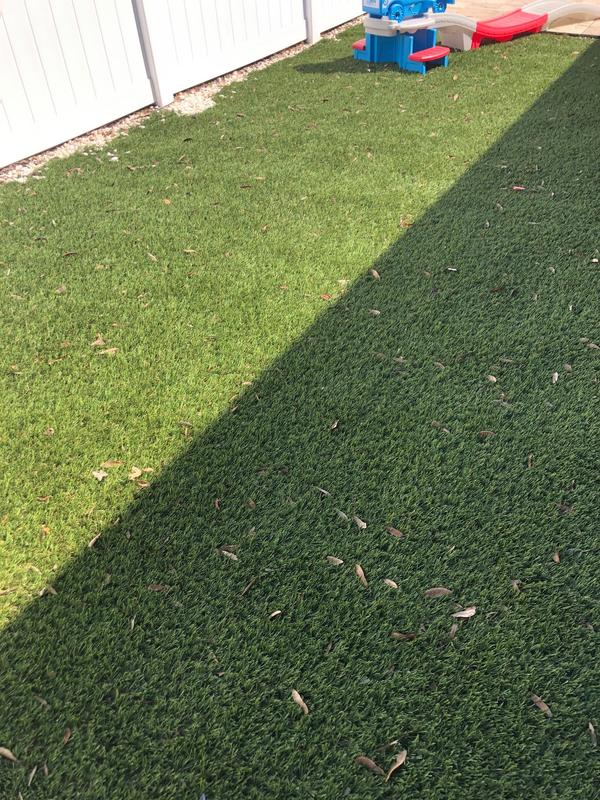 SYNLawn SYNLawn Forest 15-ft W x Cut-to-Length Fescue Artificial Grass SYNLawn SYNLawn Forest 15-ft W x Cut-to-Length Fescue Artificial Grass
