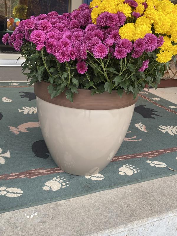 Southern Patio Round 15-in W Large Red Resin Outdoor Planter HDR ...