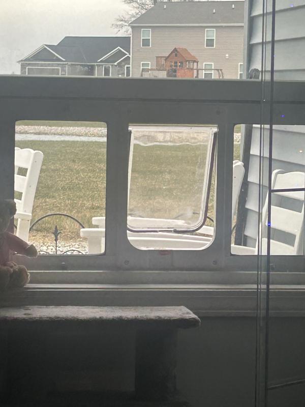https://photos-us.bazaarvoice.com/photo/2/cGhvdG86bG93ZXM/9e0fbc8a-53a8-50f6-a552-5a40e2dbc8b0