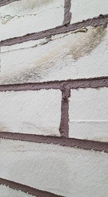 Flexebrick 2.625-in x 9.375-in Wheat Brick Veneer Individual