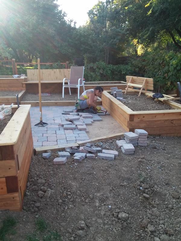 Pavestone 6-in L x 9-in W x 2-in H Rectangle Tan/Brown Concrete Paver ...
