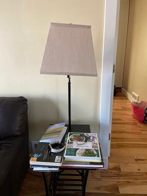 allen roth 54 in Bronze Shelf Floor Lamp in the Floor Lamps