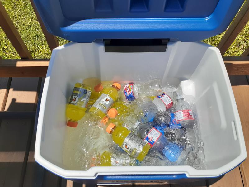 Coleman Blue Wheeled Insulated Chest Cooler at Lowes.com