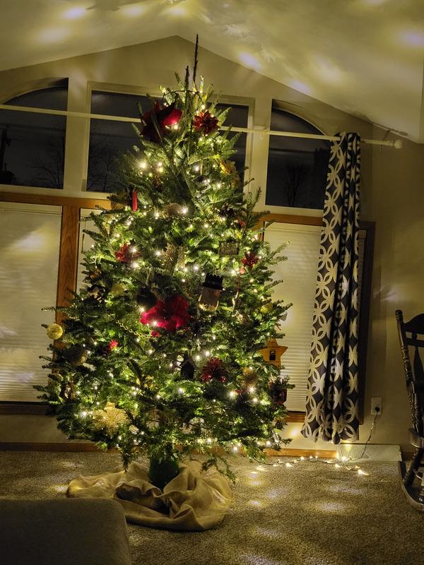 Holiday Living 8-ft x 3-ft Nordmann Fir Full Real Christmas Tree
