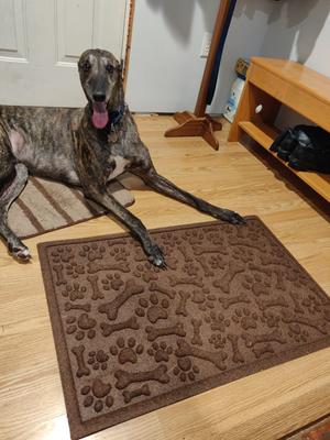 Waterhog Pet Mat  Food & Water Bowl Mat