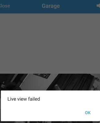 blink outdoor camera live view failed