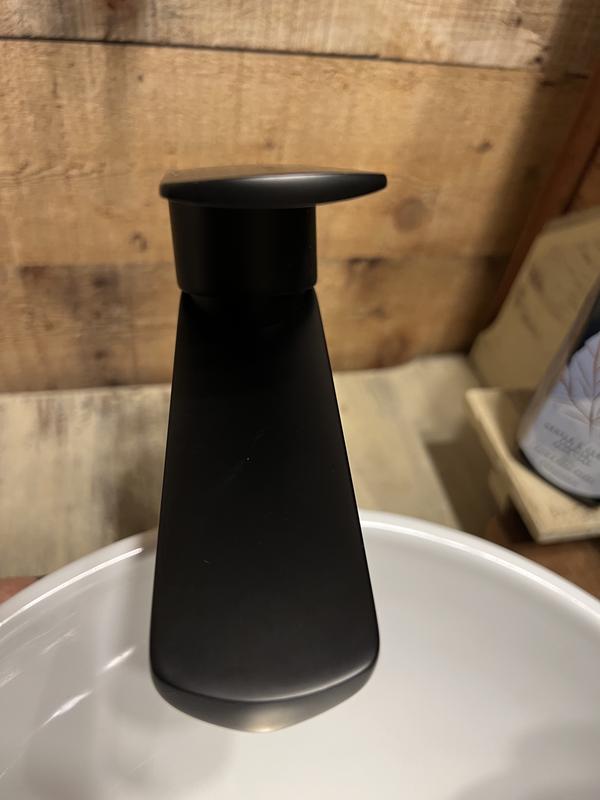 Origin 21 Candace Matte Black Single Hole 1-Handle WaterSense