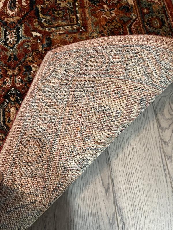 allen + roth with STAINMASTER Jezebel Performance 3 x 5 (ft) Loomed ...