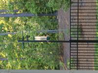 Charlotte Pipe 1 In Dia X 5 Ft L 450 Psi Pvc Pipe At Lowes Com