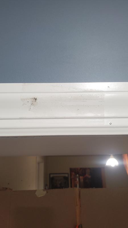 allen + roth 9/16-in x 2-1/2-in x 10-ft Painted MDF 361 Casing in the ...