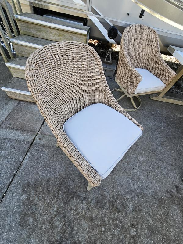 allen + roth Riverpointe Set of 2 Woven Brown Steel Frame Stationary ...