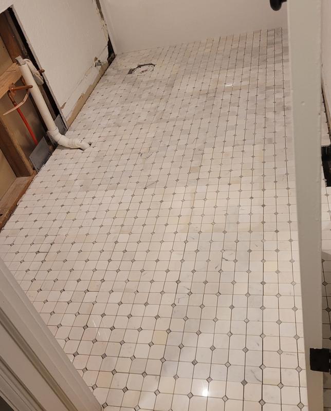 Elida Ceramica White 12-in x 12-in Honed Natural Stone Marble Uniform Squares Floor and Wall Tile