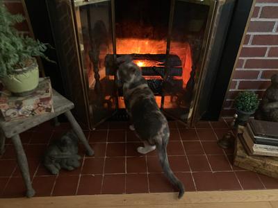 Pleasant Hearth 20-in W Natural Wood Electric Fireplace Logs at Lowes.com