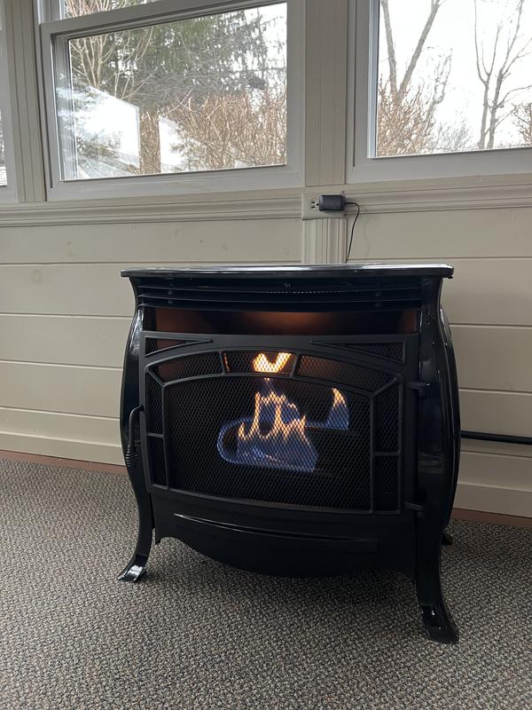 Duluth Forge 1200-sq ft Dual-Burner Vent-free Corner or Flat Wall Natural  and Liquid Propane Gas Stove at Lowes.com
