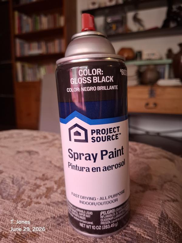 Project Source Gloss White Oil-based Spray paint ( NET WT. 10-oz ) in ...