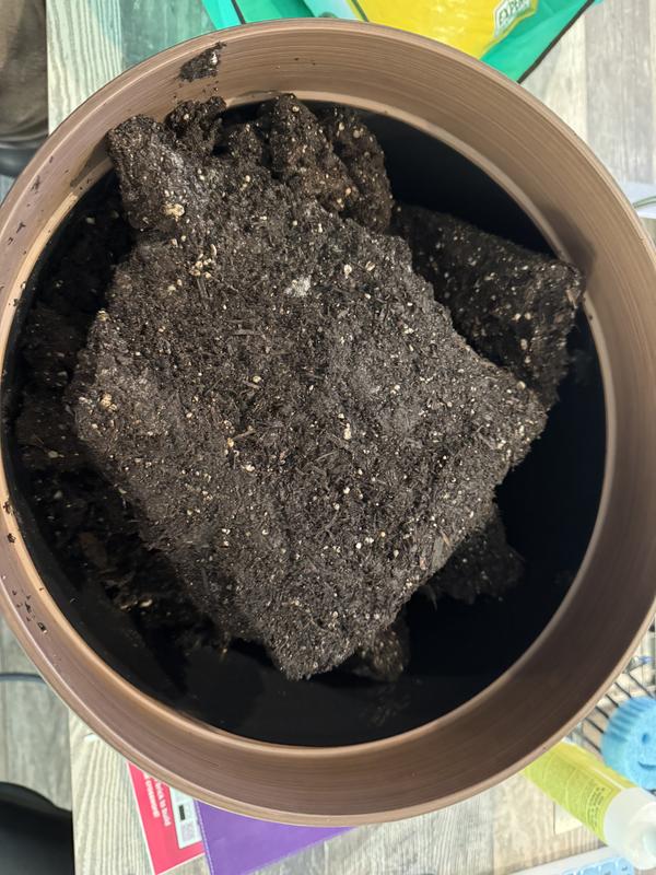 Southern Patio Round 15-in W Large Red Resin Outdoor Planter HDR ...