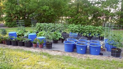 ns.productsocialmetatags:resources.openGraphTitle  Rope handles, Plastic  buckets, Garden tool storage