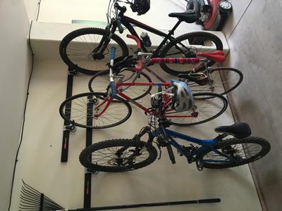 Rubbermaid FastTrack Garage 1-Bike Vertical Bike Hook in the Bike Racks &  Storage department at