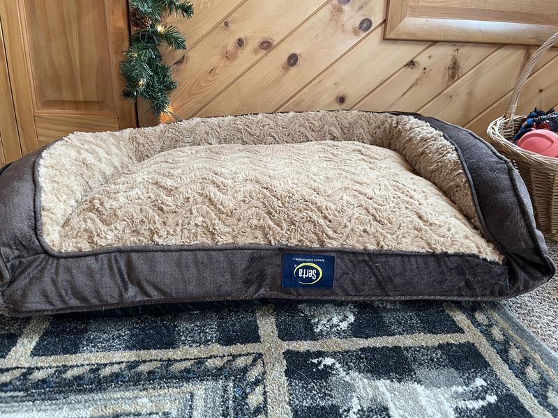 Serta Perfect Sleeper Oversized Orthopedic Sleeper Sofa Pet Bed Baci