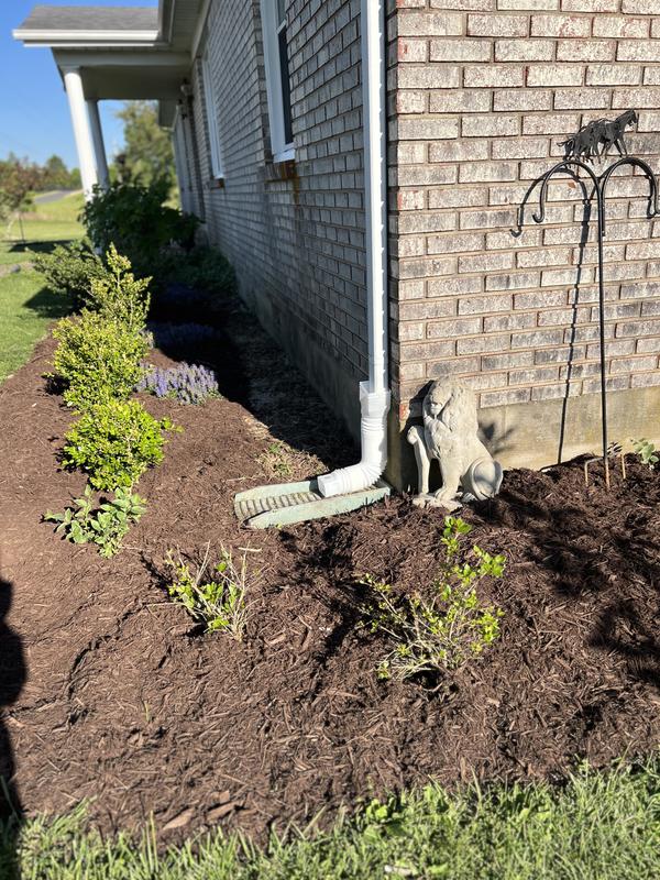 Premium 2-cu ft Dark Brown Mulch in the Bagged Mulch department at