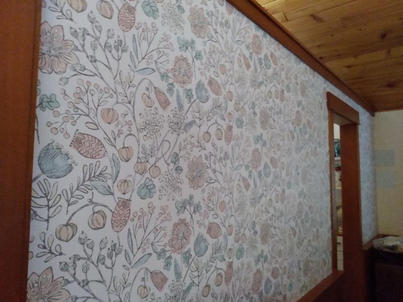 Vanillaページ AmiAmi [Character & Hobby Shop] | 1/43 Toyota LANDCRUISER