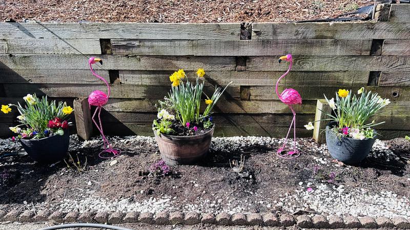 Style Selections 36-in H x 9.5-in W Pink Flamingo Garden Statue