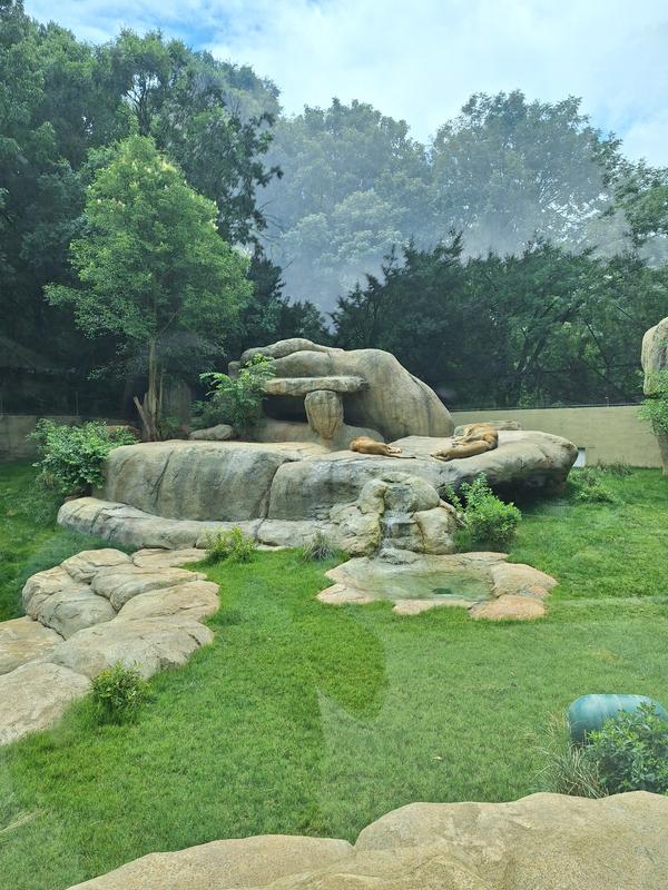 https://photos-us.bazaarvoice.com/photo/2/cGhvdG86bG93ZXM/ae95eae1-246e-5d68-a74b-dff20f5262a3