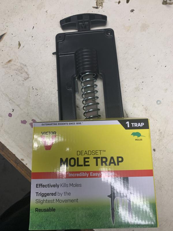 Mole Trap - general for sale - by owner - craigslist