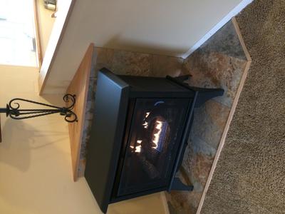 Hearth & Home Dynamics 1000-sq ft Dual-Burner Vent-free