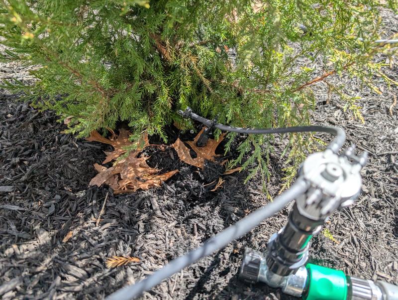 Rain Bird Drip Irrigation Garden Kit C06310L at Lowes.com