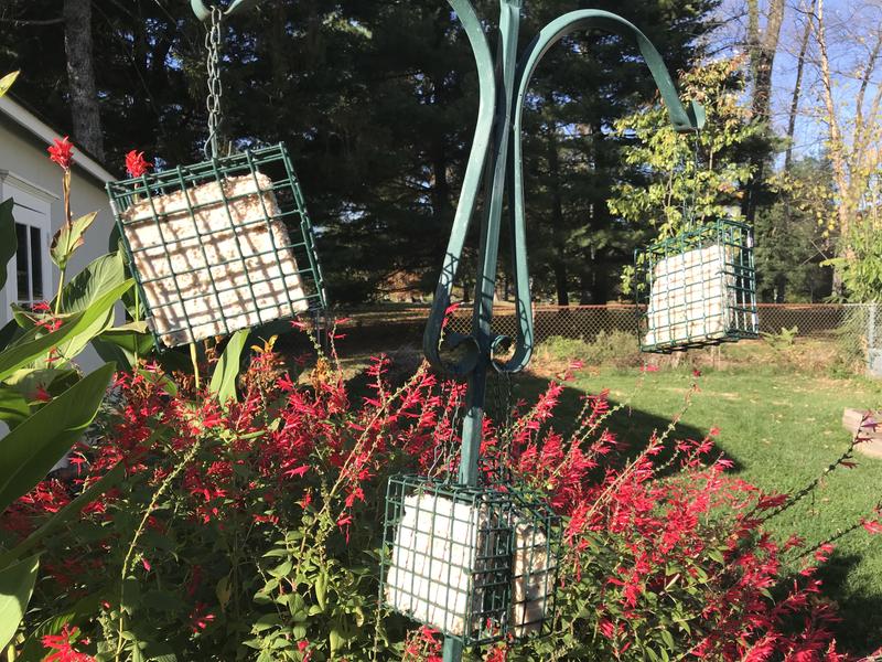 鳥豚 Style Selections Metal Hanging Suet Bird Feeder- 0.62-lb 1