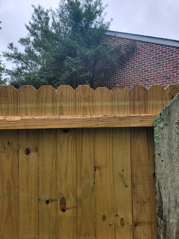 6x8 dog ear fence fashion panels lowes