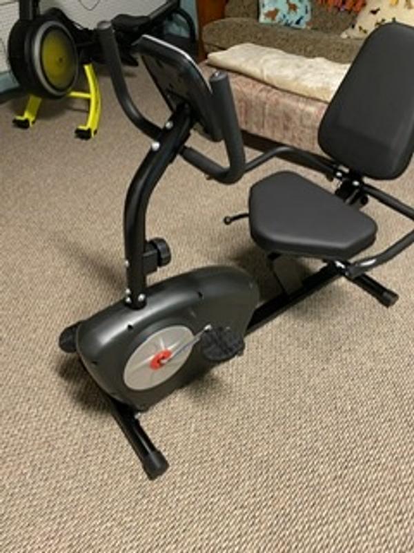 Body Flex Sports Champ Recumbent Bike with Workout Training Programs  Console at Tractor Supply Co.