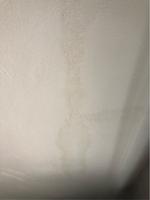 Hgtv Home By Sherwin Williams Ceiling Flat White Latex Paint