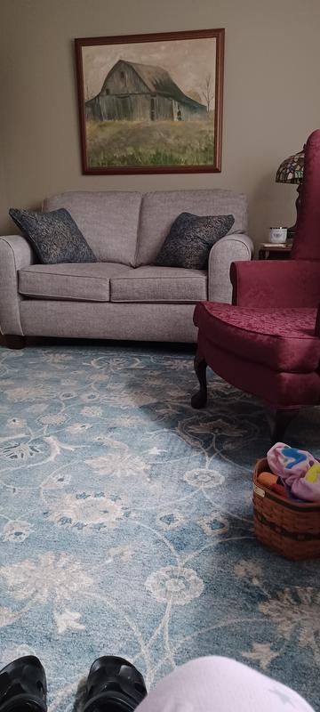 Safavieh Sofia Aydin 7 x 9 Blue/Beige Indoor Distressed/Overdyed French Country Area Rug