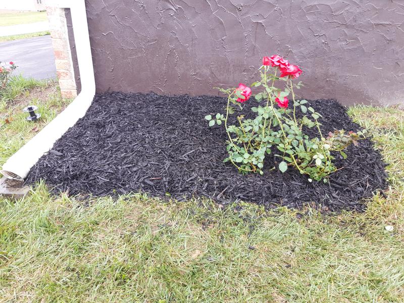 Lowe's 2.25-GAL ROSE PINK 62123FL at Lowes.com