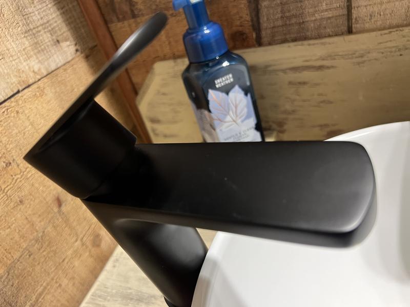Origin 21 Candace Matte Black Single Hole 1-Handle WaterSense