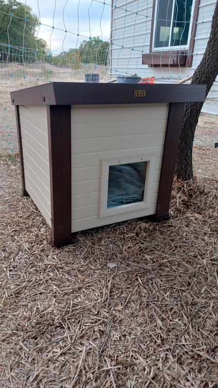 New age pet ecoflex hotsell albany feral cat house