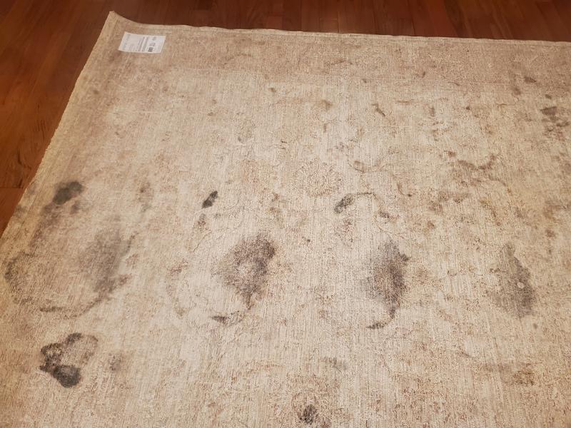 allen + roth Monarch Border 8 x 10 (ft) Flatweave Polyester Rust ...