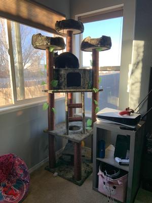 Kitty mansions redwood cat hot sale tree