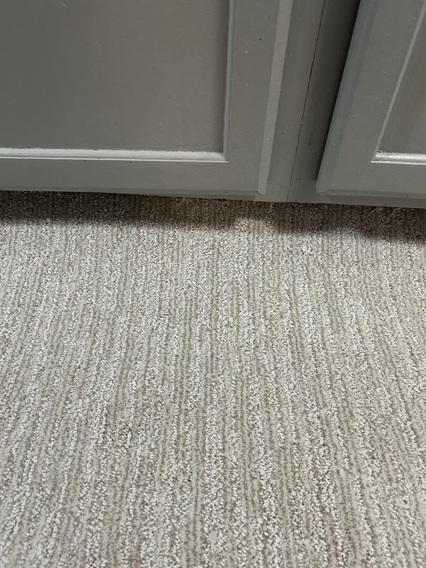 STAINMASTER PetProtect with LeakDefense Kitty Couture Subtle Clay