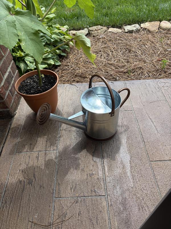 Arcadia Garden Products Classic Bronze 1.3-Gallons Bronze Metal